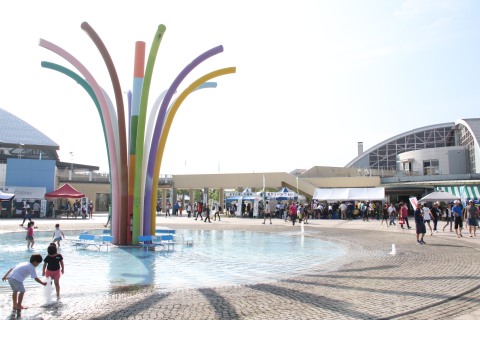 第33回カーター記念黒部名水マラソン 第33回カーター記念黒部名水マラソン