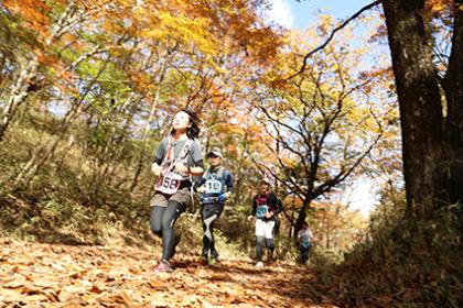 第6回古峯ヶ原高原トレイルラン Runnet ランネット 大会ガイド エントリー 第6回古峯ヶ原高原トレイルラン Runnet ランネット 大会ガイド エントリー