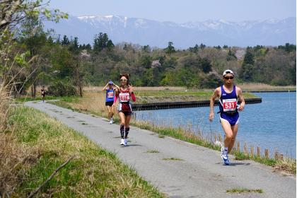 佐渡トキマラソン19 Runnet ランネット 大会ガイド エントリー