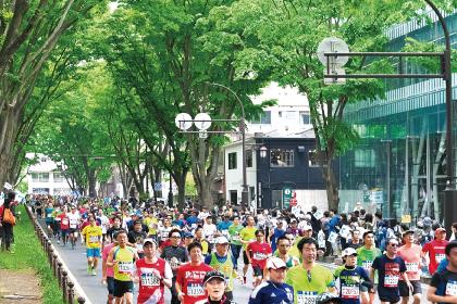 第29回仙台国際ハーフマラソン 杜の都ハーフ2019 ハーフ チャリティランナー Runnet ランネット 大会ガイド エントリー