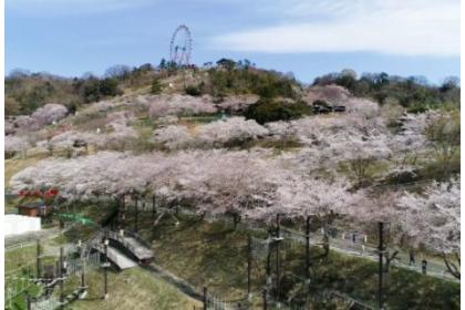 第1回 さがみ湖 さくらラン In プレジャーフォレスト Runnet ランネット 大会ガイド エントリー 第1回 さがみ湖 さくらラン In プレジャーフォレスト Runnet ランネット 大会ガイド エントリー