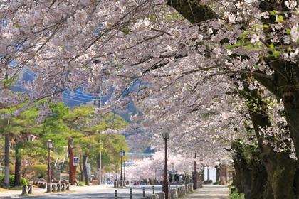 2026 花の長瀞・お宝登山 米担ぎトレイルレース