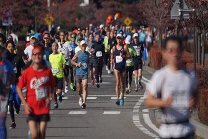 第43回大町アルプスマラソン