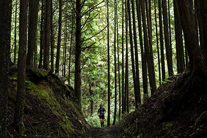 第8回 忍者トレイルランニングレース